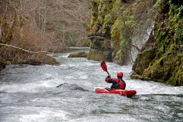 In the Heart of Taylor Creek Canyon